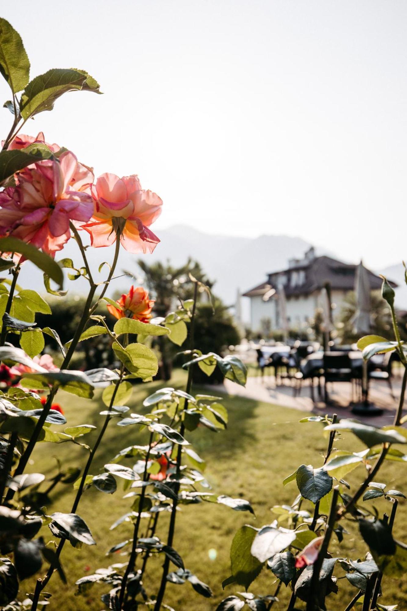 Hotel Gantkofel アンドリアーノ エクステリア 写真